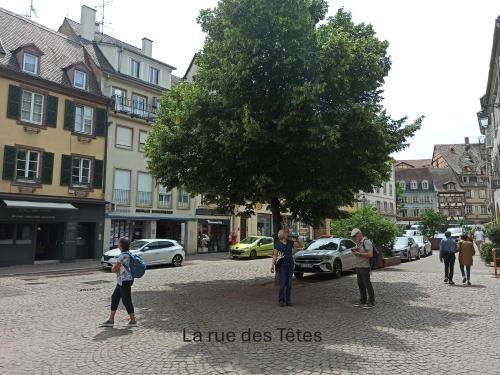 a group of people walking down a street at Chambre - Centre historique - Equipée - Salle d'eau et WC privés in Colmar