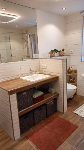a bathroom with a sink and a toilet at Ferienhaus Sinneswandel in Sehmatal