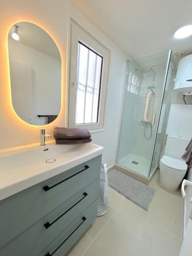 une salle de bain avec un lavabo, un miroir et une douche dans l'établissement L'appartement Plaisance, à Paris