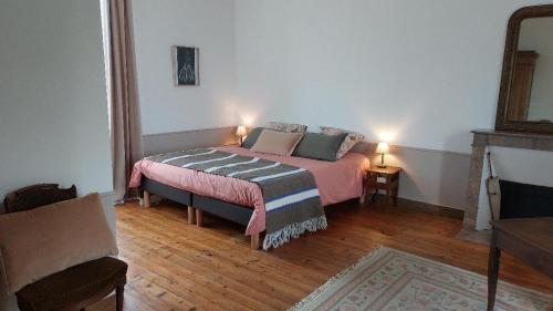 - une chambre avec un lit dans une pièce dotée d'une cheminée dans l'établissement Le Gîte Adelis, à La Celle-sous-Gouzon