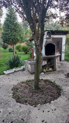 a tree in front of a stone oven in a yard at Kuca Garic in Veliko Gradište