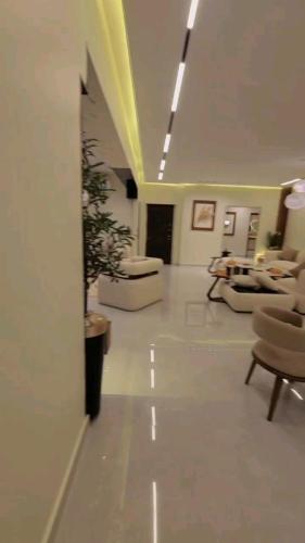 شقه النيل الجديده