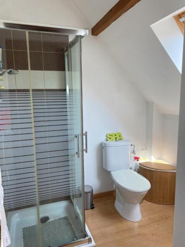 La salle de bains est pourvue de toilettes et d'une cabine de douche en verre. dans l'établissement Gite 4 - Maison la Vigneronne, à Mittelwihr