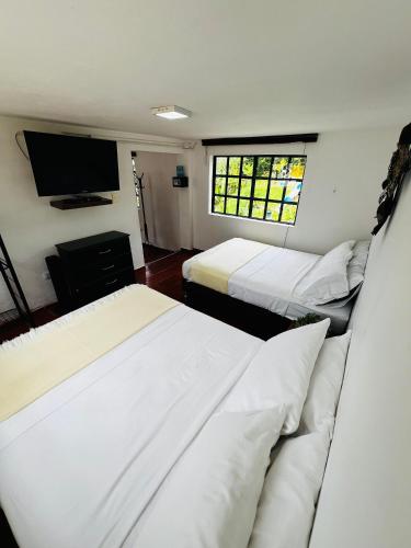 a room with two beds and a tv in it at Hacienda Villa Esperanza in Silvania
