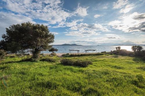 Gallery image of Blue Horizon Retreat in Diliso