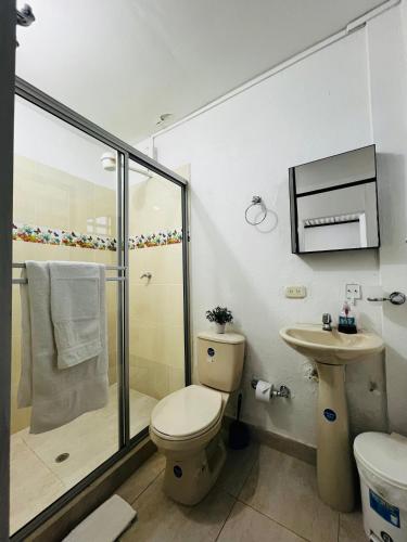 a bathroom with a shower and a toilet and a sink at Hacienda Villa Esperanza in Silvania