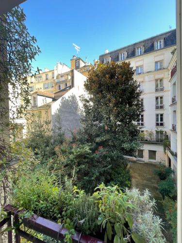 Studio Jardin des Plantes