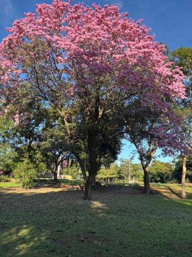 Taman di luar Pousada Cachoeira do Campo