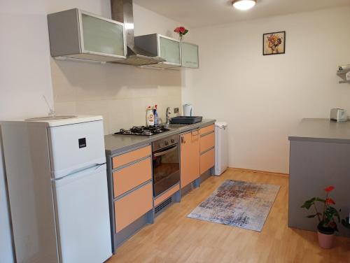 Apartmán Trencan FREE PARKING CITY CENTRE