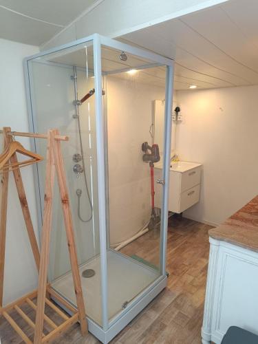 - une douche dans une chambre dotée d'une paroi en verre dans l'établissement Maison climatisée et Studio au calme à Royan, à Royan