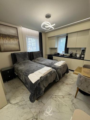 a bedroom with a large bed and a kitchen at Luxurious House with Deluxe rooms & Free Secured Parking in Sofia