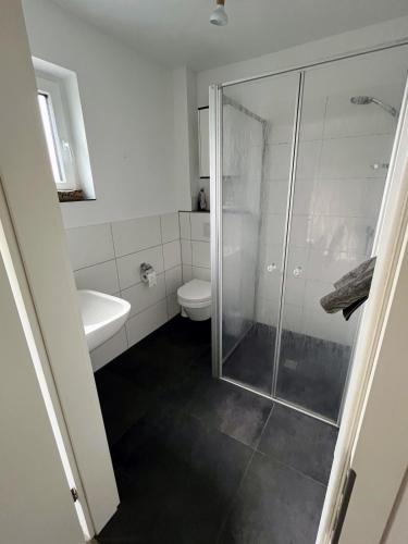 a bathroom with a shower and a toilet and a sink at Hempen Fied Gästehaus - Apartment 2 in Bad Zwischenahn