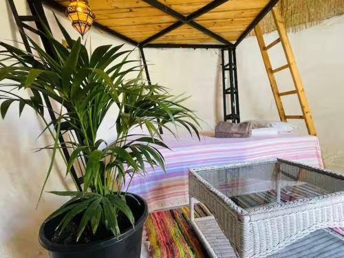 Casa Caracol - Finca Oaxaca