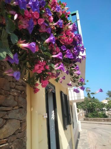 a bunch of flowers hanging from a building at casetta sul porticciolo in Stintino