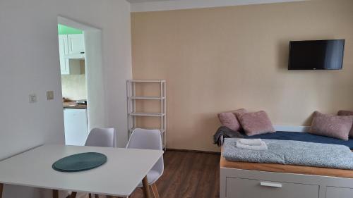 Apartmán Kamarytkaにあるテレビまたはエンターテインメントセンター