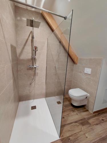 une salle de bain avec douche et toilettes dans l'établissement camping haipenée, à Saint-Quentin-en-Tourmont