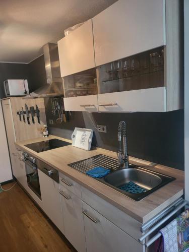 a kitchen with a sink and a counter top at Ambergers exklusive Ferienwohnungen in Maar