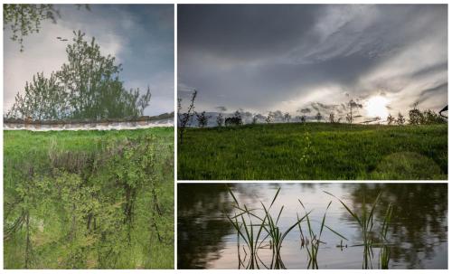three pictures of a field with water and grass at Trei Lumi in Deleni