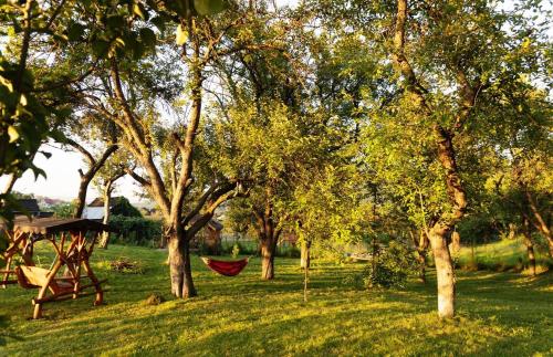 a hammock in the middle of a field with trees at Trei Lumi in Deleni