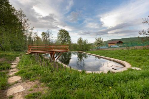 a park bench sitting next to a small pond at Trei Lumi in Deleni