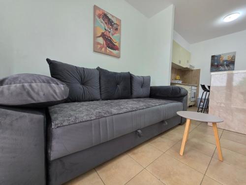 a gray couch in a living room with a table at Blue Dream Apartment in Rafailovici