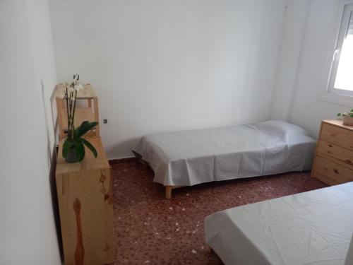 Casa olivo