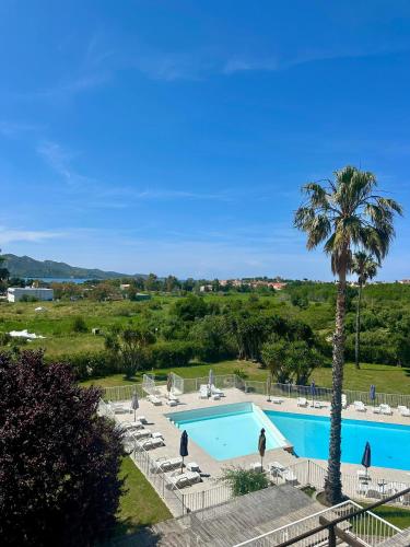 - une piscine avec des chaises et un palmier dans l'établissement STUDIO Saint-Florent, à Saint-Florent