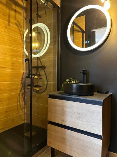 une salle de bain avec un lavabo et un miroir dans l'établissement Cocon en centre ville, au Puy-en-Velay