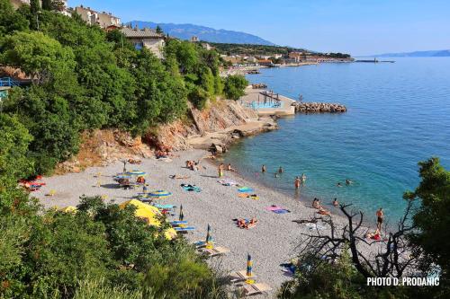 Apartman Alej
