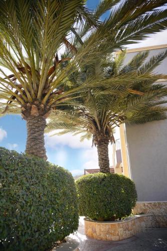 Un jardín fuera de Luxurious private villa in Mahis