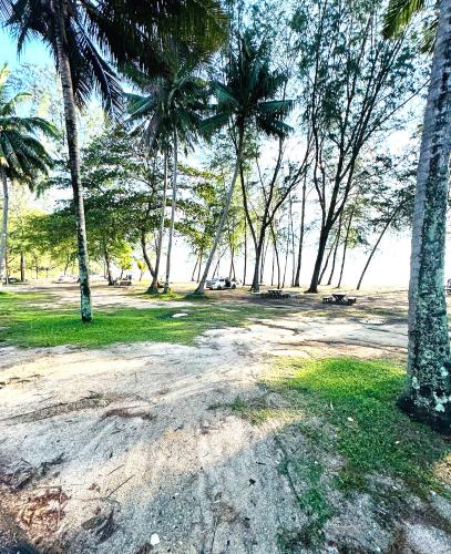 a park with palm trees and a dirt road at Mersika Dua - Beachfront Villa 2BR Near To Mersing Jetty Town in Mersing
