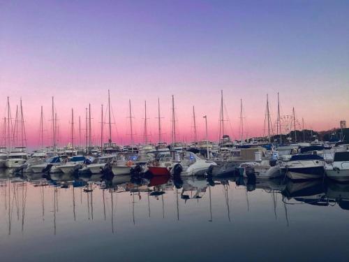 Séjour face au Vieil Antibes avec parking photo 13