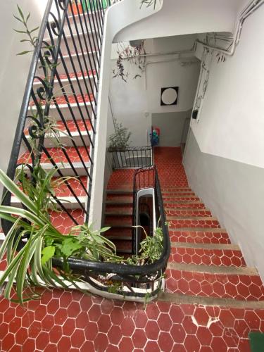 un escalier avec du carrelage rouge et des escaliers avec des plantes dans l'établissement Charmant studio au cœur du panier, à Marseille