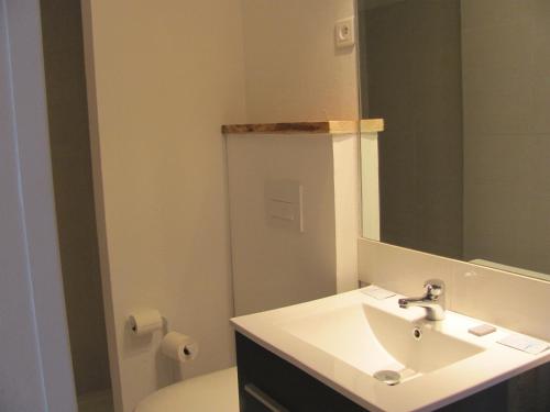 une salle de bain avec un lavabo et un miroir et des toilettes dans l'établissement Appartement splendide vue mer, à Cargèse