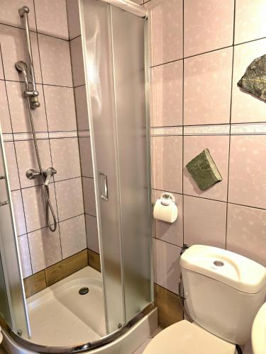 a bathroom with a shower and a white toilet at Grota zbójnicka apartament i pokoje in Gliczarów