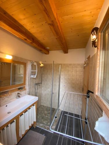 une salle de bain avec douche et lavabo dans l'établissement Chalet Mélèze Plein Sud À 1174 M, à Risoul