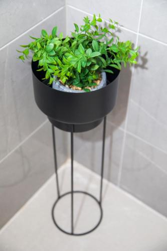 a black plant stand with a green plant at Apartman Puente Viejo Mostar in Mostar
