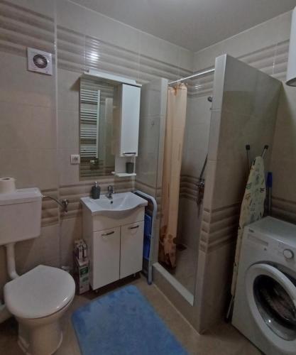 a bathroom with a toilet sink and a washing machine at Urban escape in Doboj