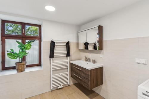 ein Badezimmer mit Waschbecken und Spiegel in der Unterkunft KERA STAY - Apartments Merseburg in Merseburg