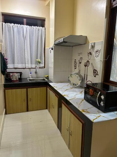 a kitchen with a sink and a counter with a microwave at ZnZ Homestay in Shillong