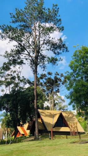 a house with a tree in front of it at Clínica e Spa Vida Natural in São Roque