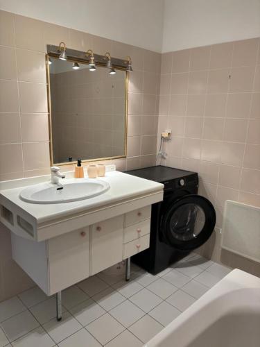 un bagno con lavandino e lavatrice di Résidence Le Celtic a Trébeurden