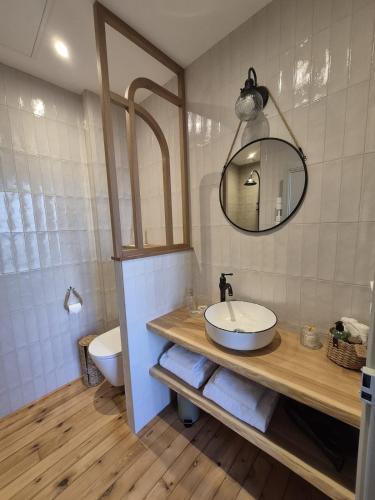 une salle de bain avec un lavabo, des toilettes et un miroir dans l'établissement Maison Bord de Loire, à Ancenis
