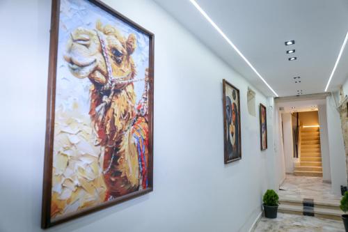 Imagen de la galería de AMADEOS pyramids inn, en El Cairo