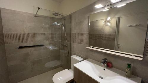 une salle de bain avec toilettes, lavabo et douche dans l'établissement Appartemet en rez de jardin Au Clos du Golfe, à Locmariaquer