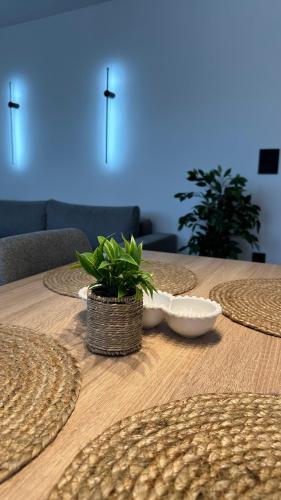 a wooden table with plates and a plant on it at District 21 in Belgrade