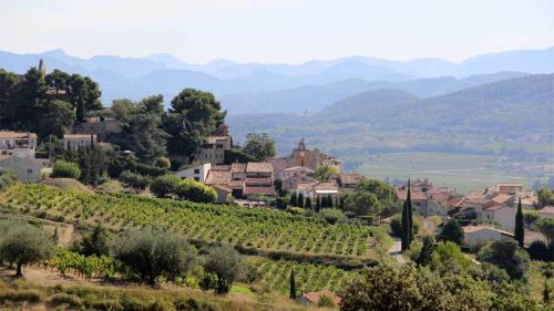 Photo de la galerie de l'établissement Maison d'Hôtes Côté Cour, à Rasteau