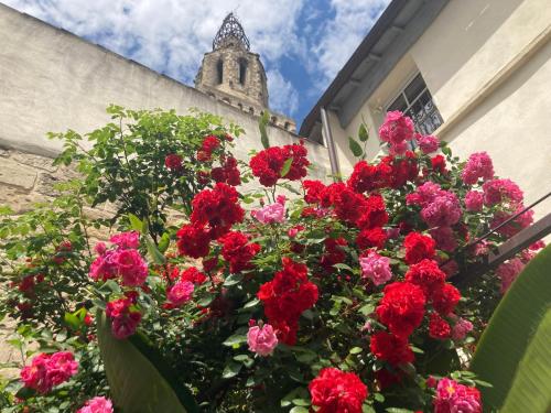 Le Cloitre des Augustins 5 stars Spa & Fitness photo 120