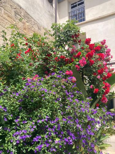 Le Cloitre des Augustins 5 stars Spa & Fitness photo 139