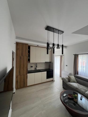 Kuhinja ili čajna kuhinja u objektu Apartmani Aleksic